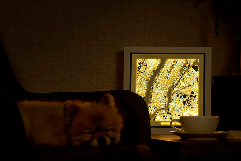 Zzzzz....Running around in circles with the New York Poodles