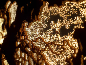 WORLD LIGHT (Classic) - World Map Lighting Decoration Art - ZERO DEGREE